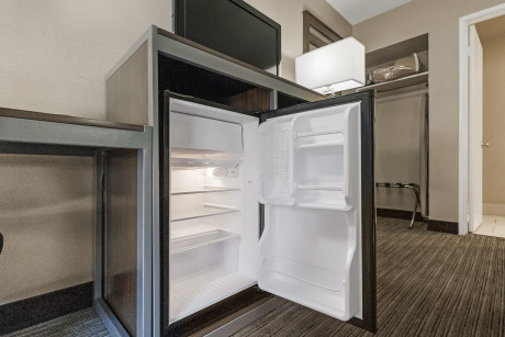 In-room Amenities - Refrigerator